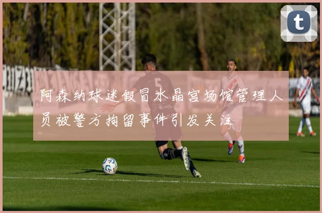 阿森纳球迷假冒水晶宫场馆管理人员被警方拘留事件引发关注