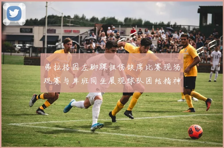 弗拉格因左脚踝扭伤缺席比赛现场观赛与库班同坐展现球队团结精神