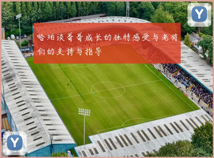 哈珀谈哥哥成长的独特感受与老将们的支持与指导