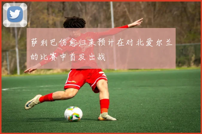 萨利巴伤愈归来预计在对北爱尔兰的比赛中首发出战